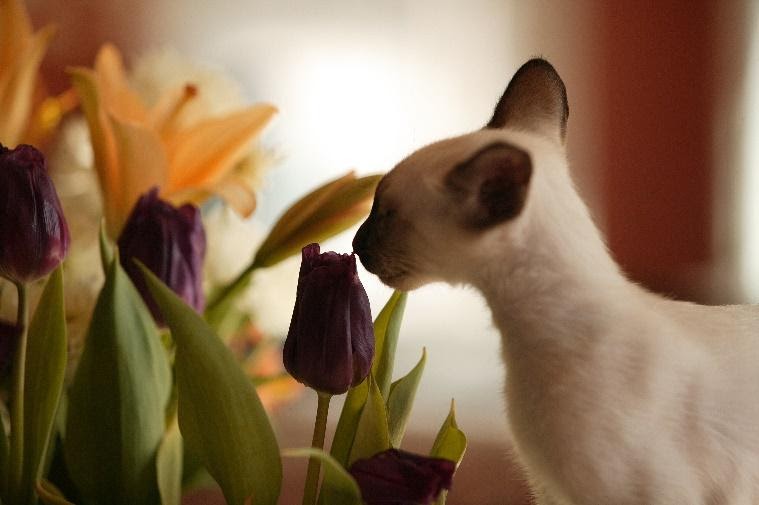 Letter of the Heart - Luke