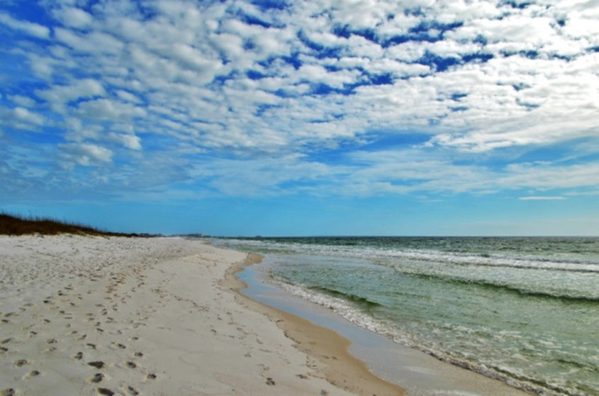 Letter of the Heart—Call in the Walker